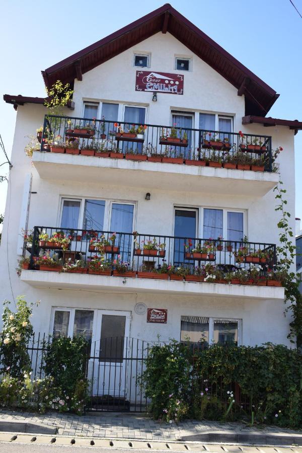 Hotel Casa Emilia à Vatra Dornei Extérieur photo