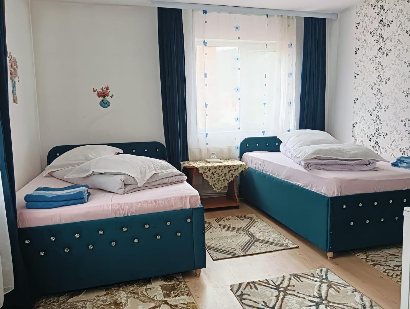 Hotel Casa Emilia à Vatra Dornei Extérieur photo