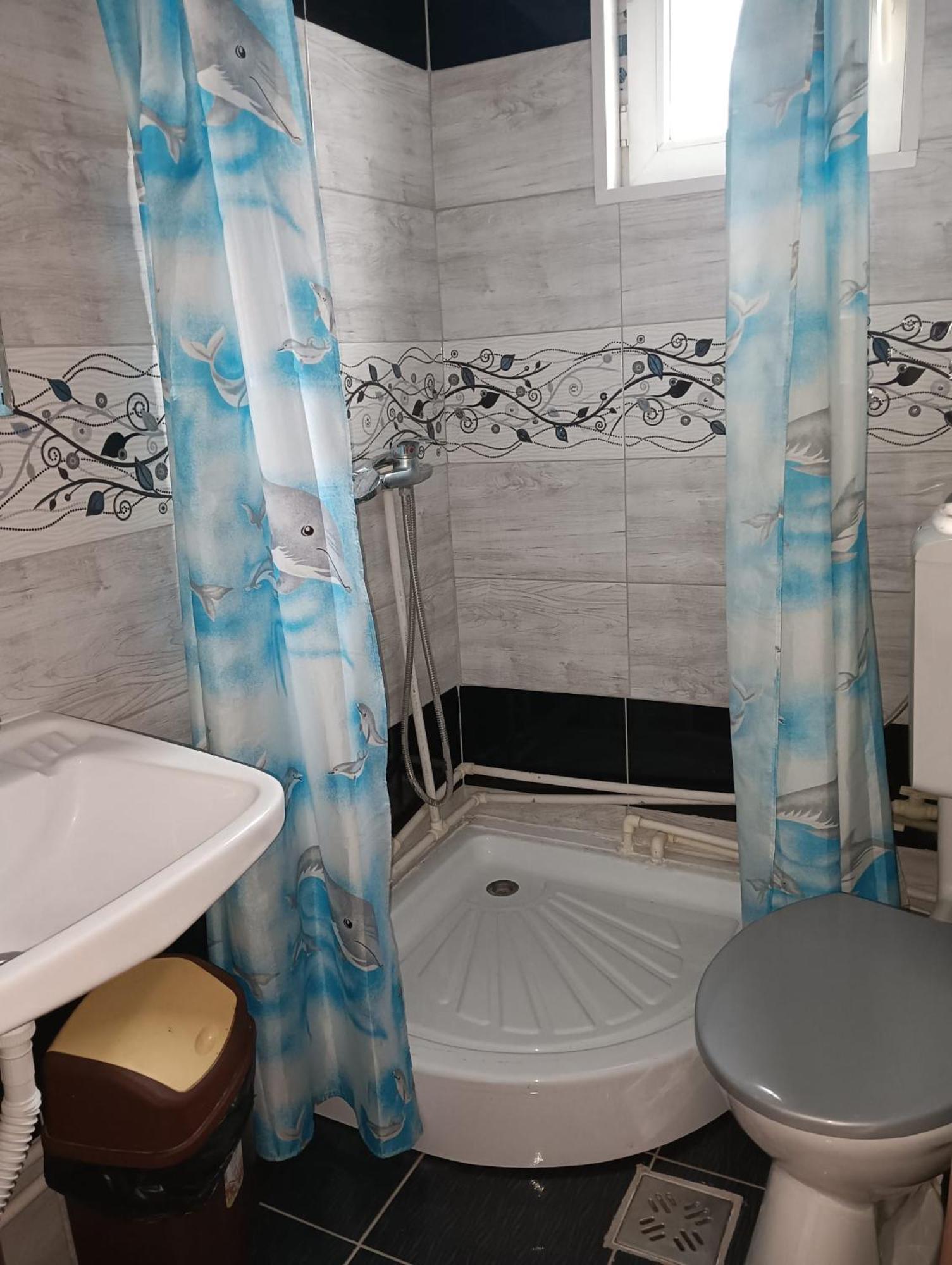 Hotel Casa Emilia à Vatra Dornei Chambre photo