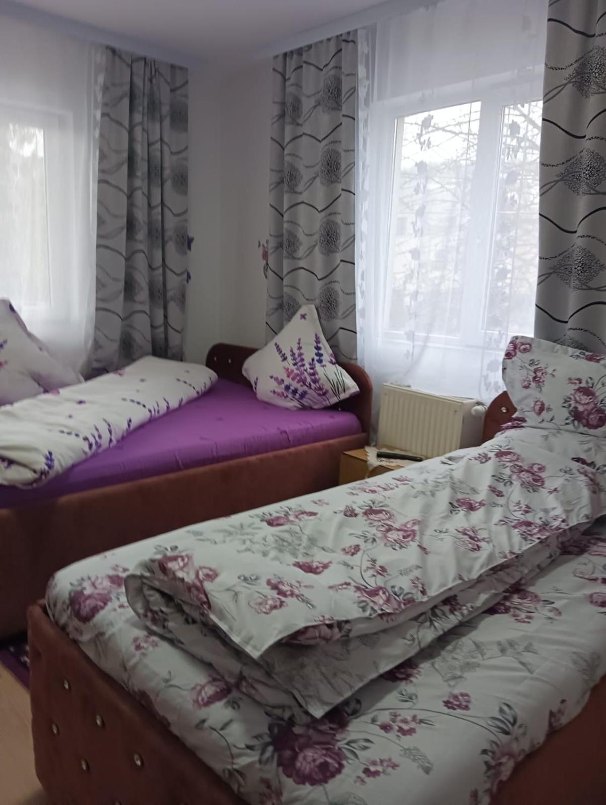 Hotel Casa Emilia à Vatra Dornei Chambre photo