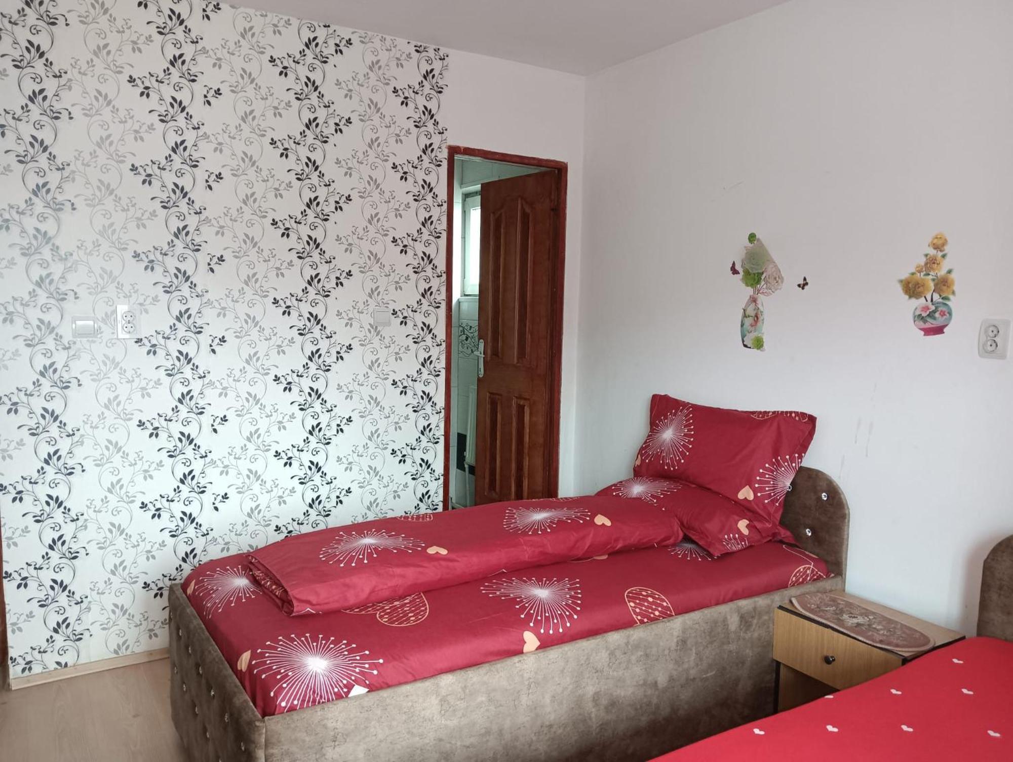 Hotel Casa Emilia à Vatra Dornei Extérieur photo