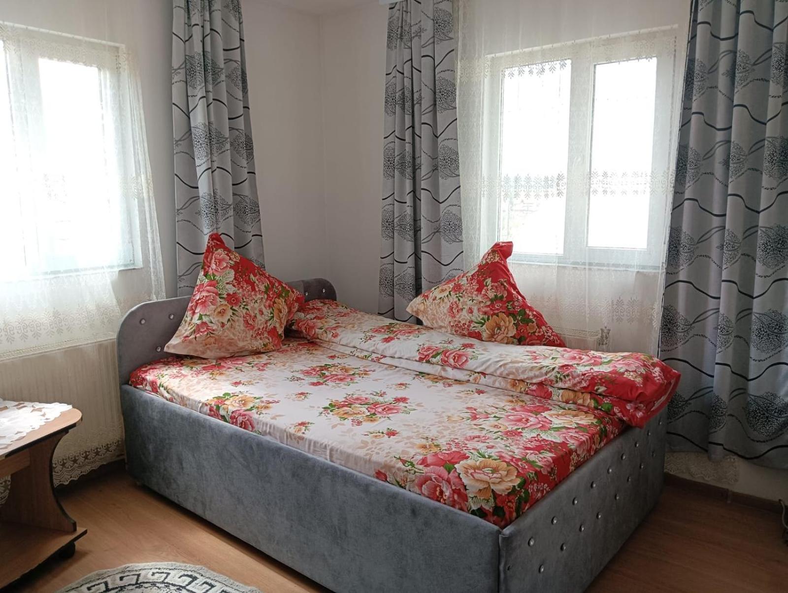 Hotel Casa Emilia à Vatra Dornei Extérieur photo