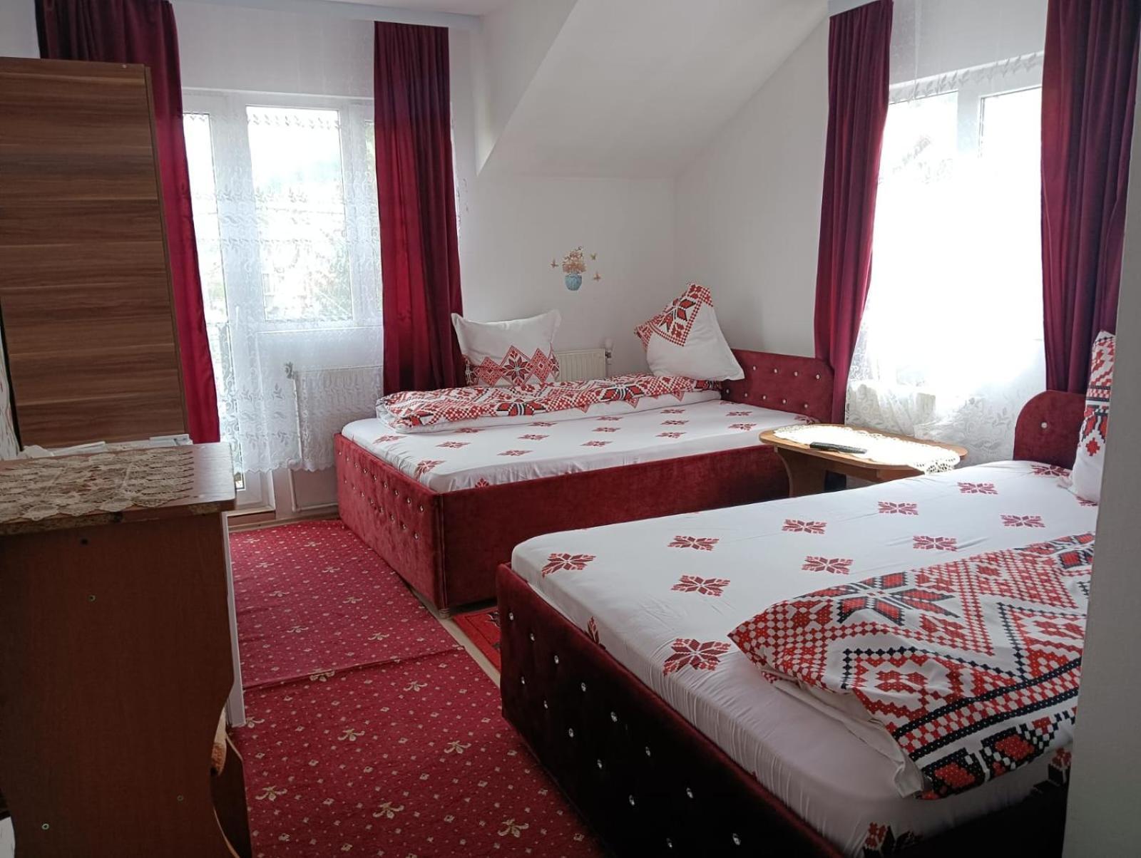 Hotel Casa Emilia à Vatra Dornei Extérieur photo
